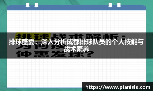 排球盛宴：深入分析成都排球队员的个人技能与战术素养