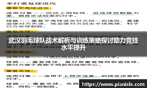 武汉羽毛球队战术解析与训练策略探讨助力竞技水平提升