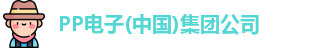 PP电子